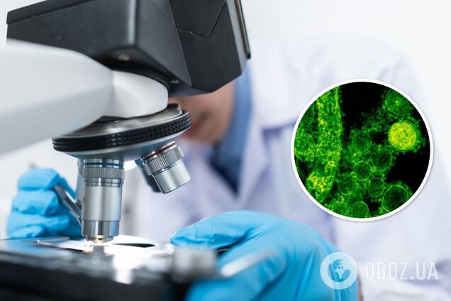 Какие болезни наиболее заразны: ученые дали ответ