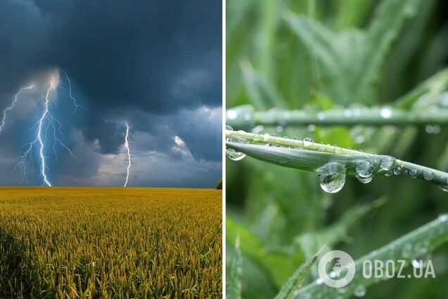 Дожди с грозами мигрируют на восток: синоптики дали прогноз погоды на субботу, 23 августа