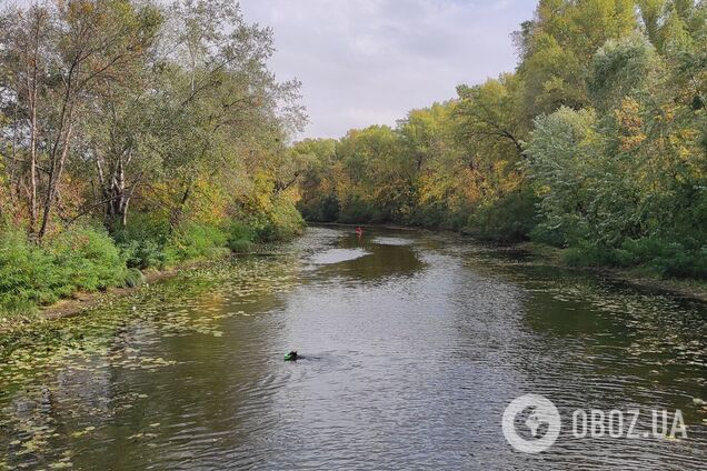 Без осадков и до +20°С: подробный прогноз погоды по Киевщине на 25 августа