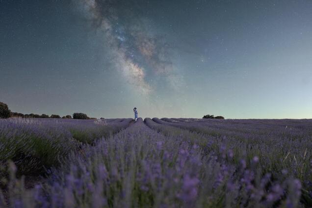 Як Тоскана: красиве місто в Іспанії вражає полями лаванди