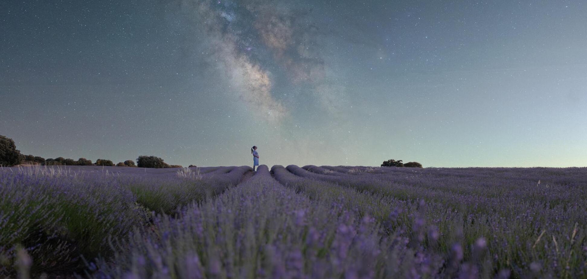 Как Тоскана: красивый город в Испании поражает полями лаванды