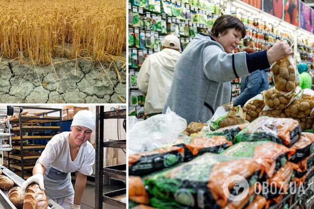 В России дефицит картофеля и резкий рост цен на хлеб: из-за дождей и засухи погибает пшеница, а овощи некому убирать