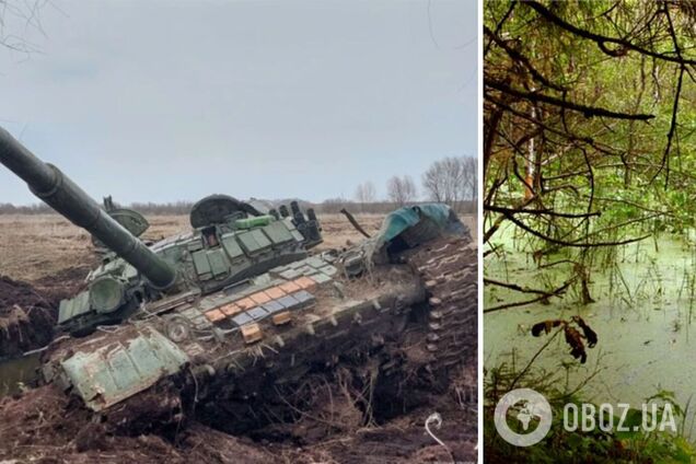 'Защитный щит' от агрессии РФ и не только: в ЕС задумались над восстановлением болот вдоль восточных границ – РоІіtісо