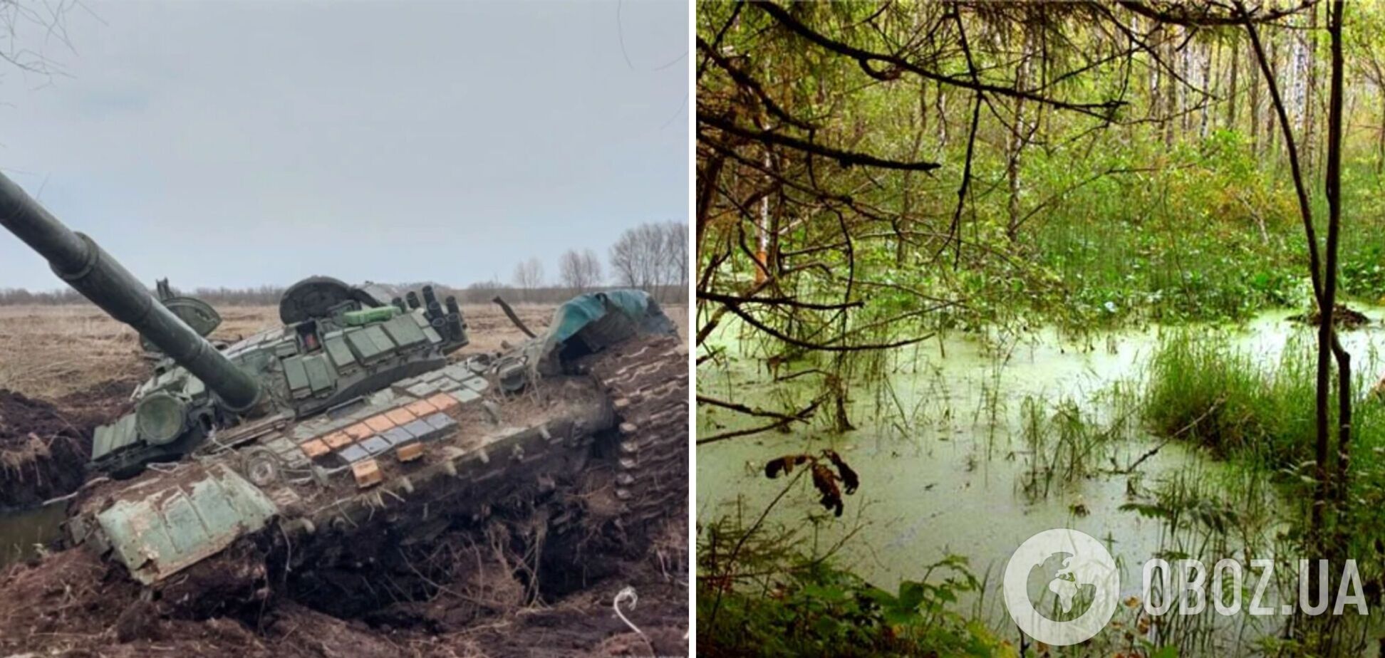 'Защитный щит' от агрессии РФ и не только: в ЕС задумались над восстановлением болот вдоль восточных границ – РоІіtісо