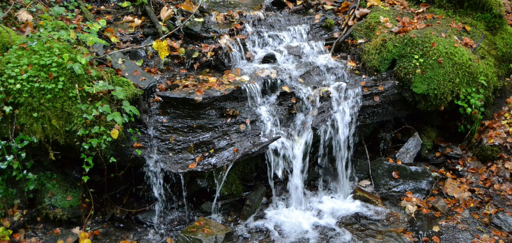 Ученая обнаружила самую старую воду в мире: какой она оказалась на вкус