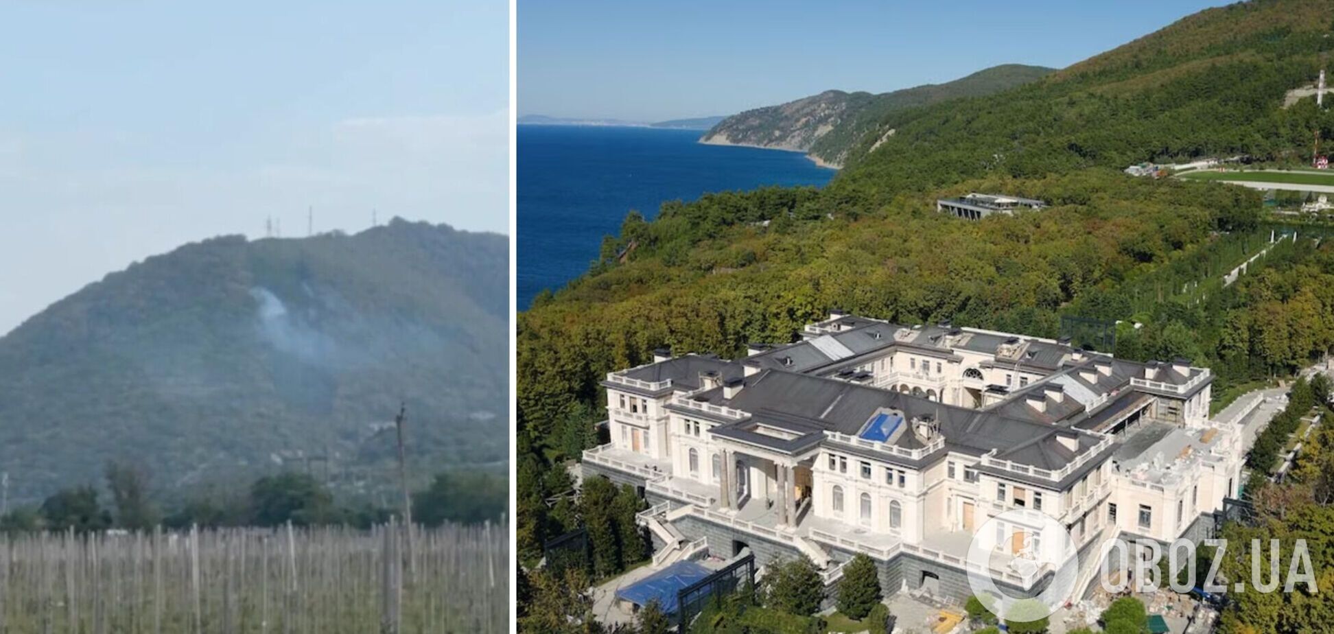 Український дрон викликав пожежу в лісі поряд із палацом Путіна в Геленджику: з'явились подробиці