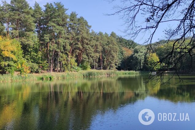 Без опадів та до +31°С: детальний прогноз погоди по Київщині на 29 серпня