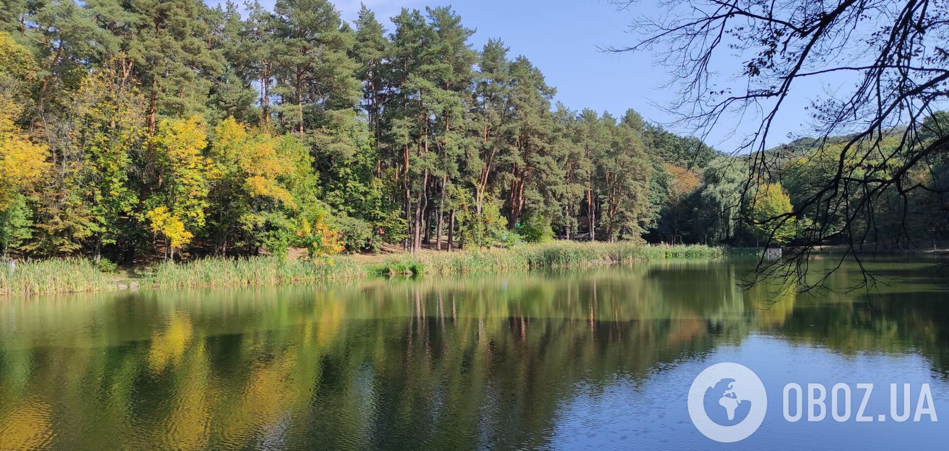 Без опадів та до +31°С: детальний прогноз погоди по Київщині на 29 серпня