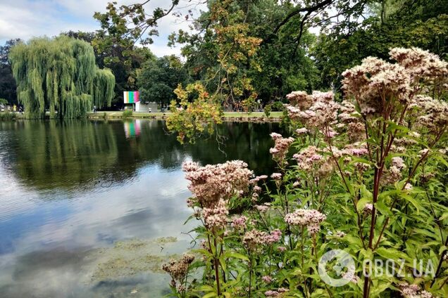 З якої погоди почнеться осінь? У Гідрометцентрі озвучили прогноз на вихідні і далі