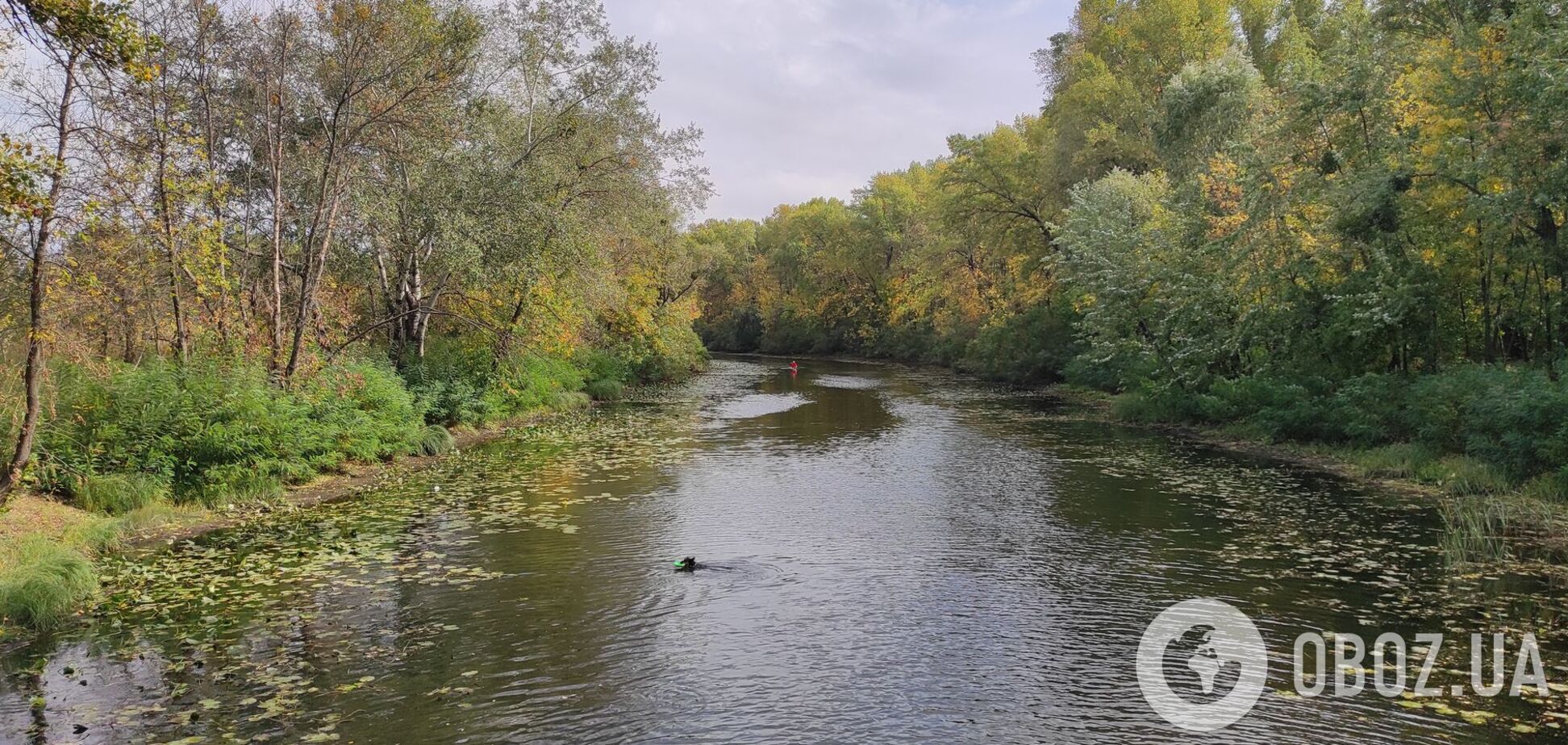 Невелика хмарність та до +31°С: детальний прогноз погоди по Київщині на 30 серпня