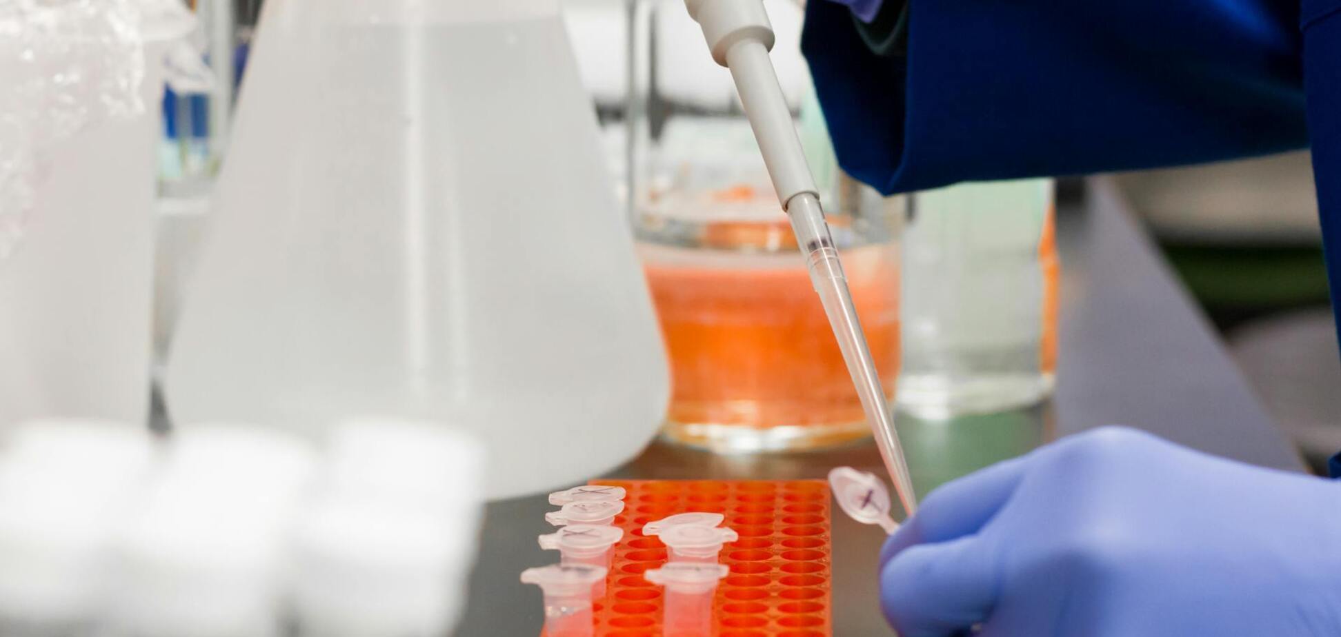 Європою шириться смертельний вірус Західного Нілу: що відомо про хворобу і чи є вакцина в Україні