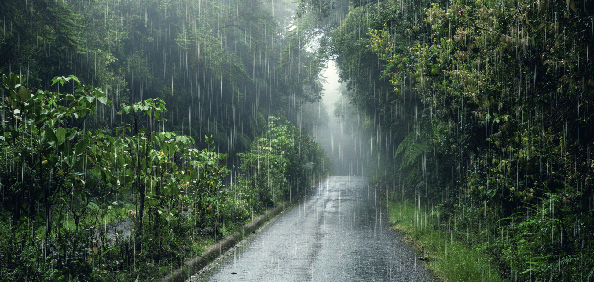 Почти всю Украину затянет дождями с грозами: синоптики дали прогноз погоды на пятницу