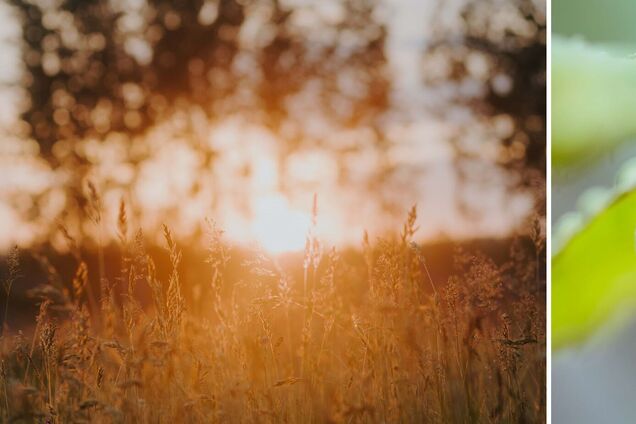 Прогноз на последний день лета: чем погода порадует украинцев 31 августа. Карта