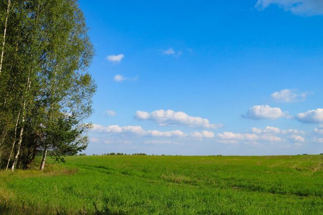 Яке свято відзначають 10 серпня в Україні: події цього дня