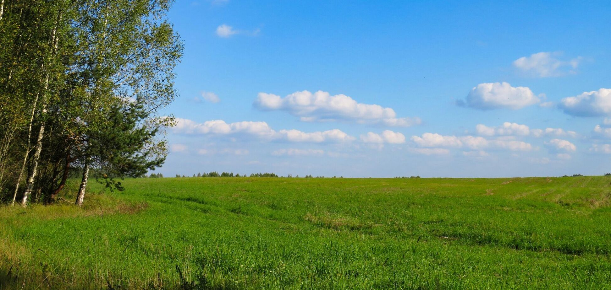 Какой праздник отмечают 10 августа в Украине: события этого дня