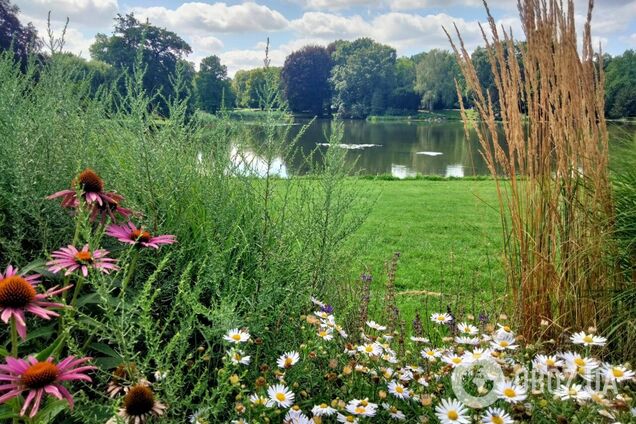 Погодный 'сюрприз': в Гидрометцентре предупредили о двух прохладных днях и дали прогноз на выходные