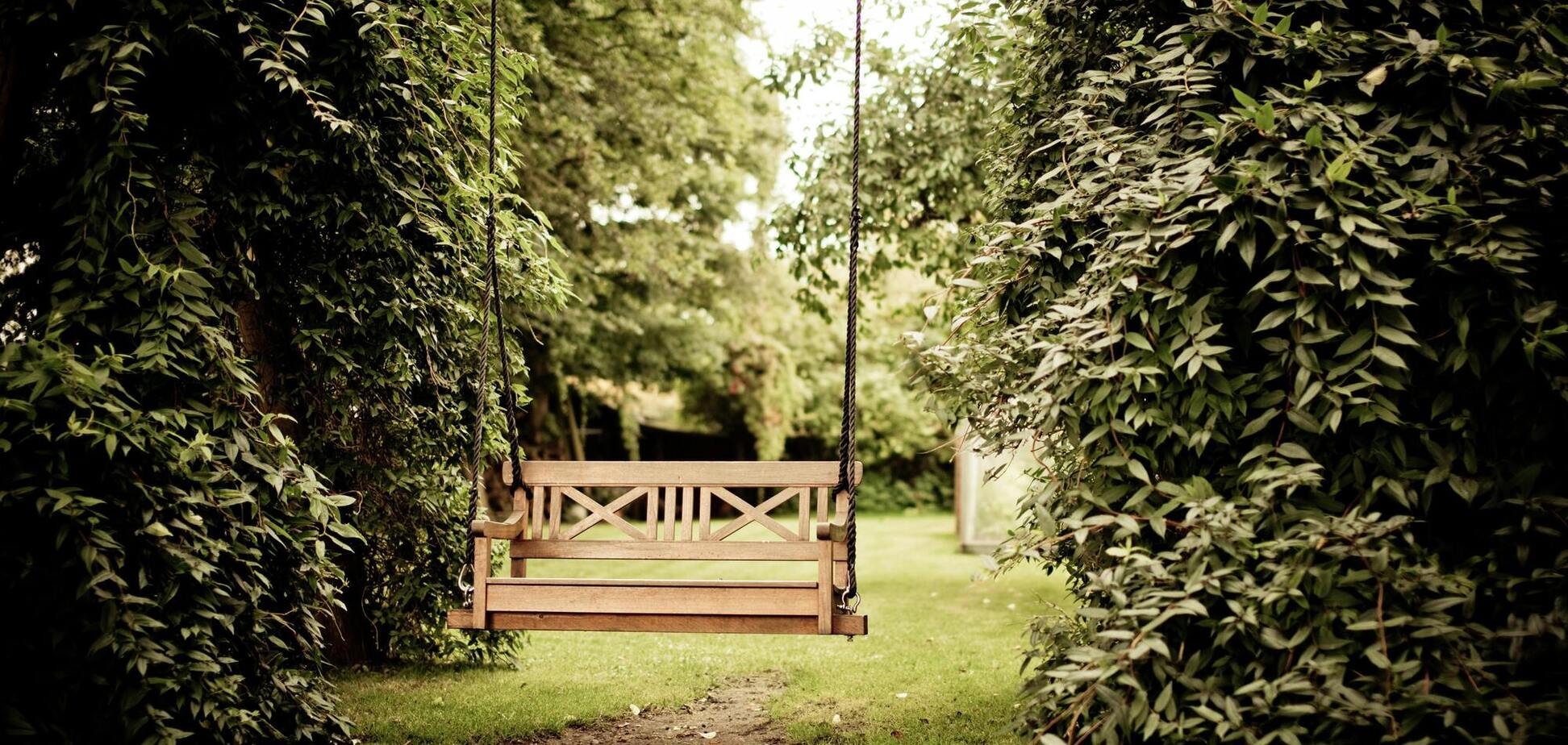 Что необходимо сделать в саду в августе: обязательное задание