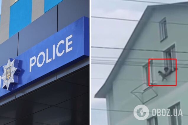 Под Киевом женщина выбросила с четвертого этажа маленькую собаку: делом занялась полиция. Видео