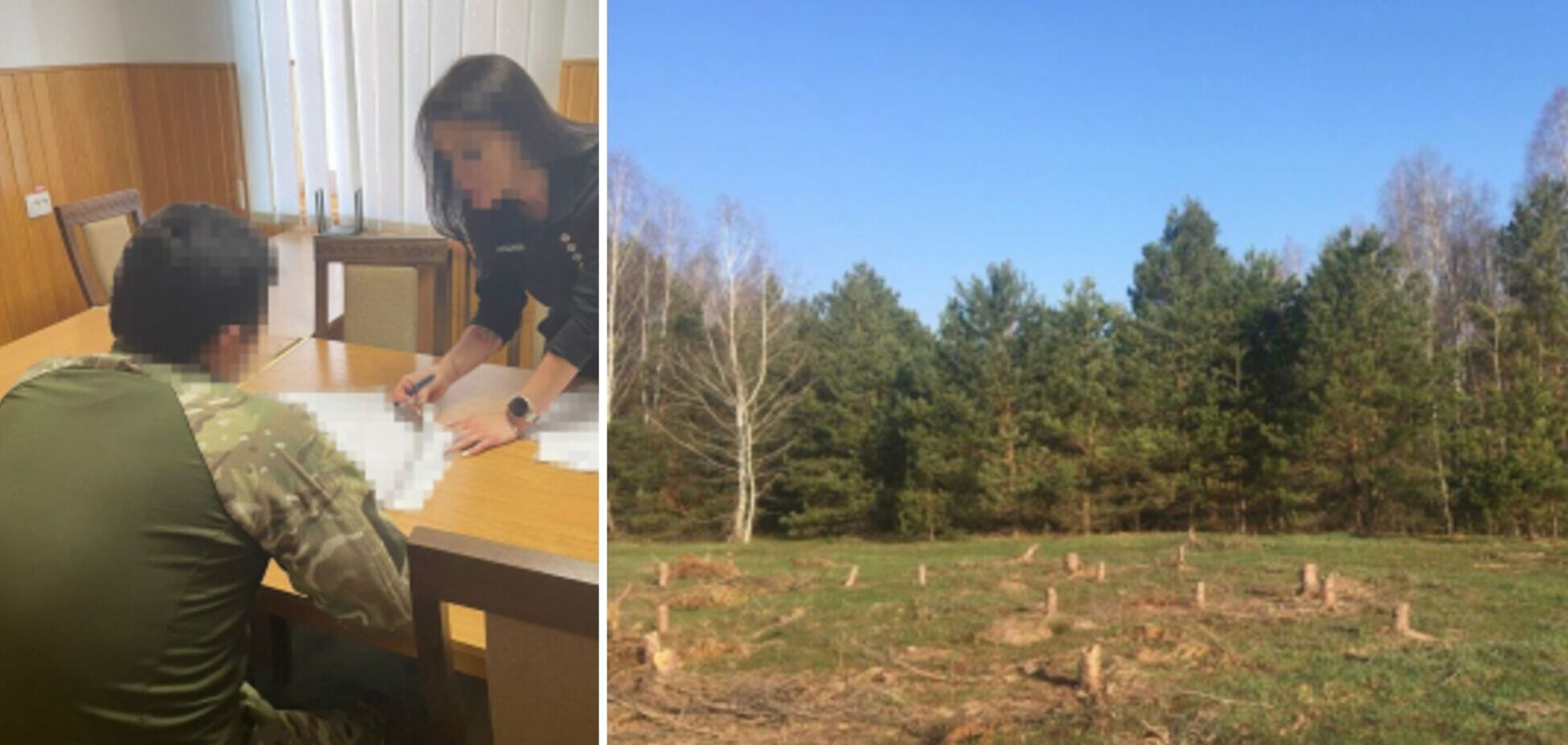 Рабочему лесхоза грозит 10 лет тюрьмы за незаконную вырубку древесины