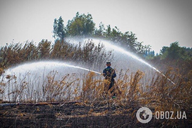 На Київщині сталась масштабна пожежа на торфовищі: вогонь гасять майже добу. Фото та відео