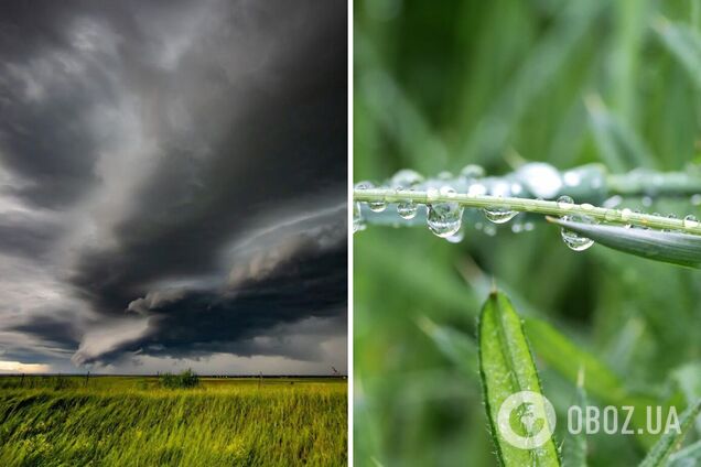 Частину України накриють дощі: синоптикиня розповіла, де чекати негоди в четвер. Карта