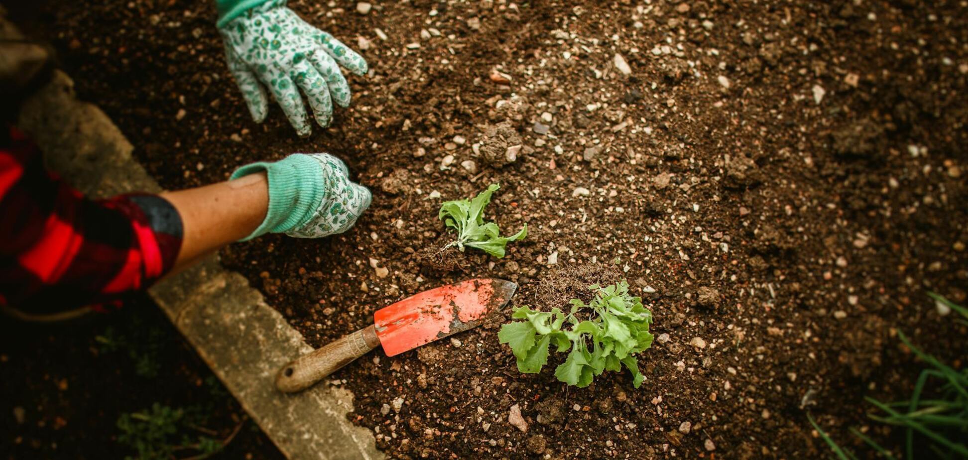Не выбрасывайте: как сделать первоклассное удобрение из отходов