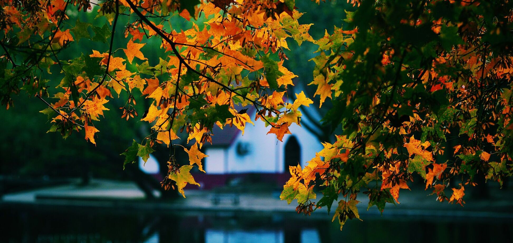 Какой праздник отмечают 17 сентября в Украине: все об этом дне