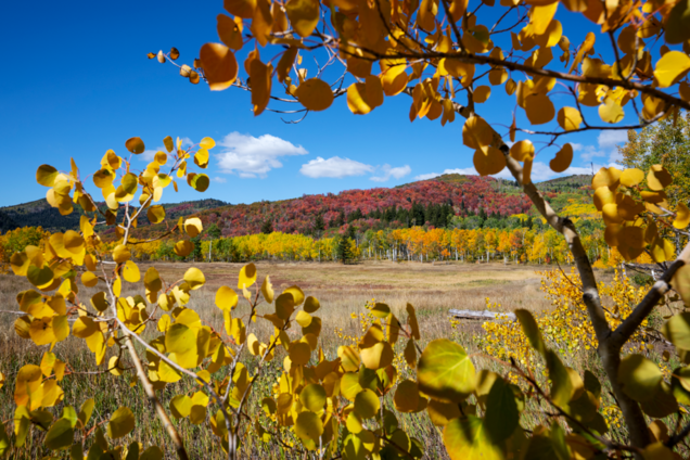 Какой праздник отмечают 18 сентября: церковный календарь