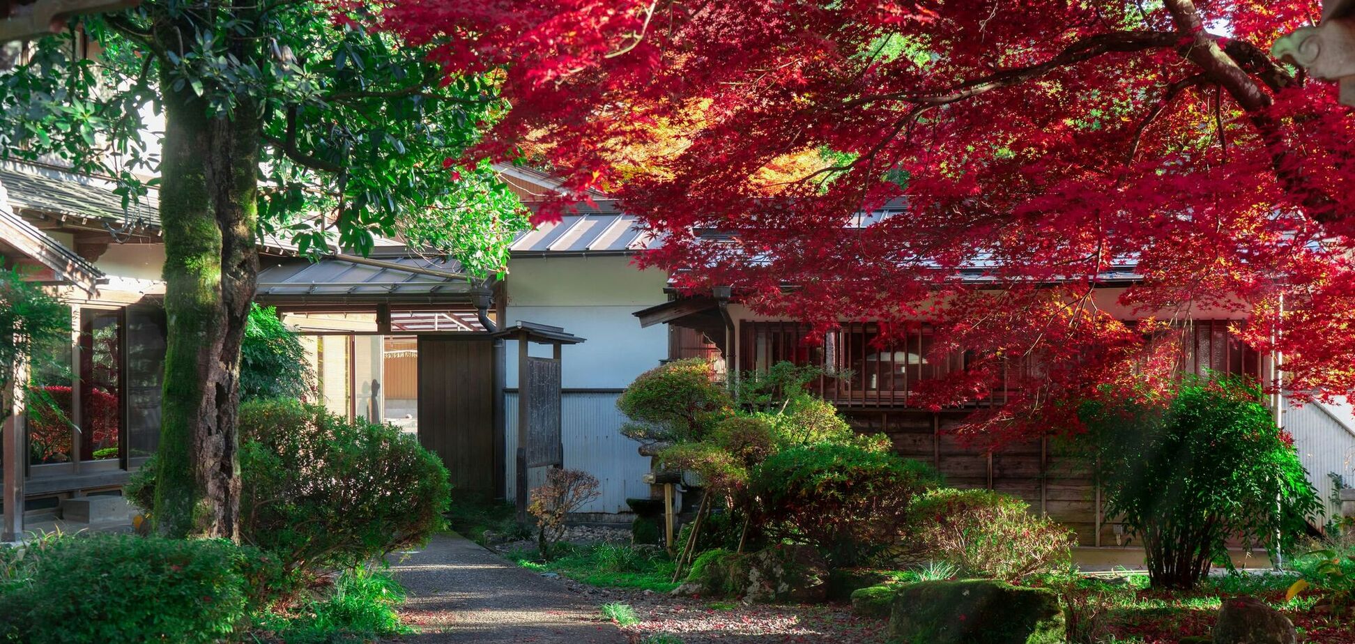 Можно посадить и забыть: какие растения в саду не надо обрезать