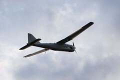 'Путин показал нам, где наша слабость': гендиректор Quantum Systems оценил, сколько Германия может продержаться против атак российских БПЛА