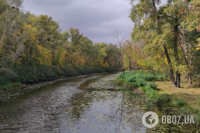 Без опадів та до +25°С: прогноз погоди по Київщині на 14 вересня