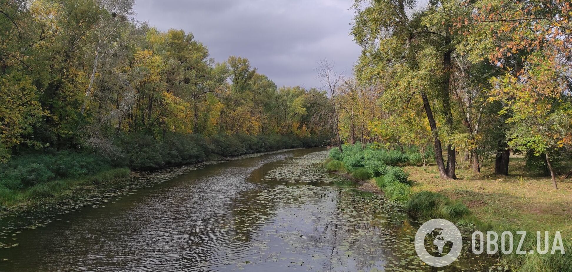 Без опадів та до +25°С: прогноз погоди по Київщині на 14 вересня