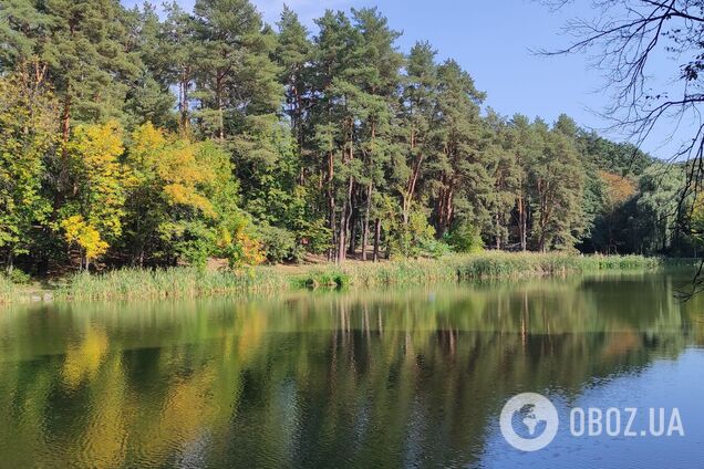 Без осадков и до +25°С: подробный прогноз погоды по Киевщине на 15 сентября