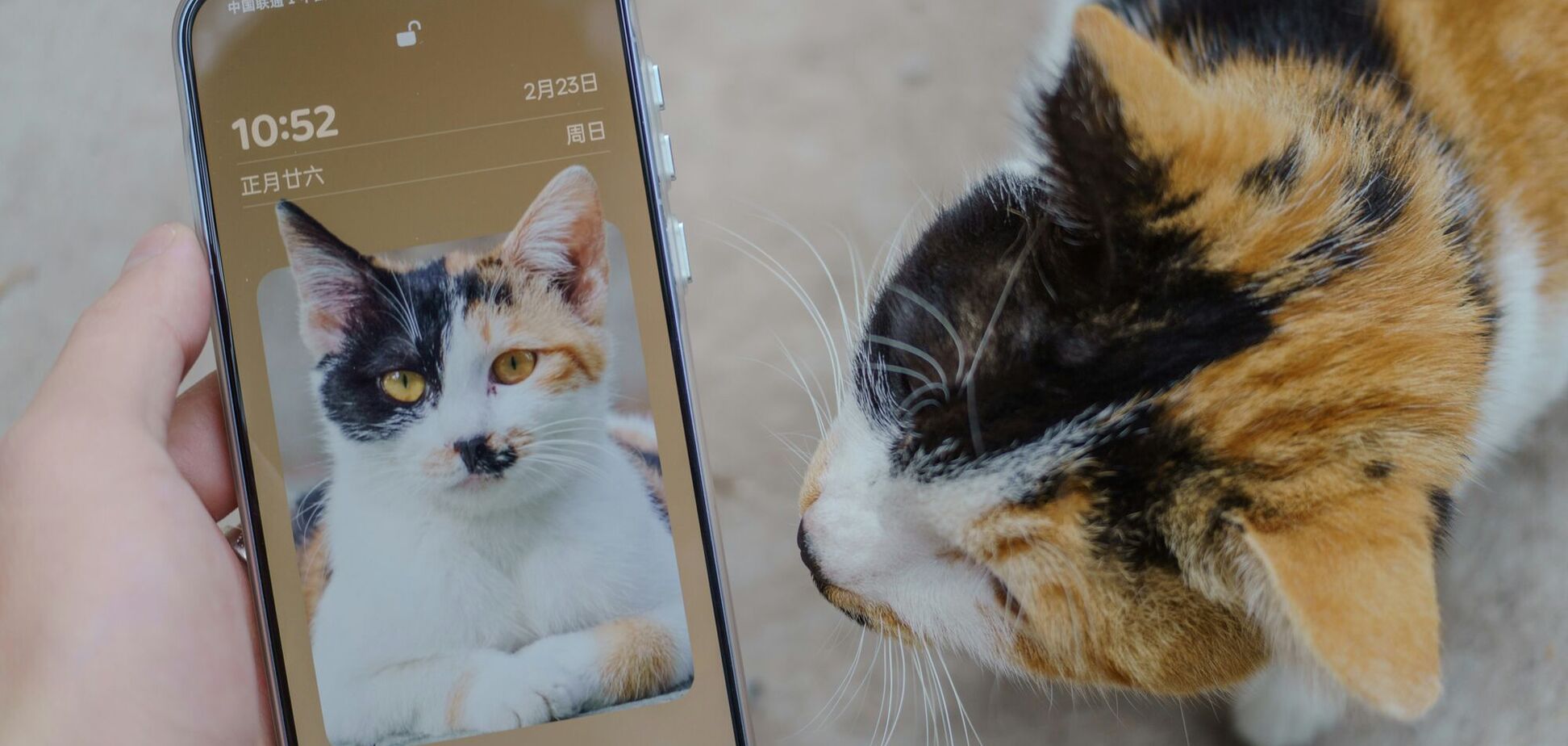 Какие опции на смартфоне быстро разряжают батарею: о них часто забывают