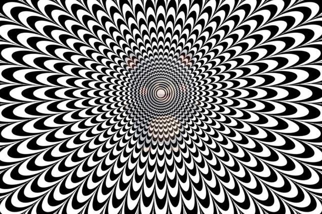 Какое животное спряталось? Оптическая иллюзия для людей с идеальным зрением