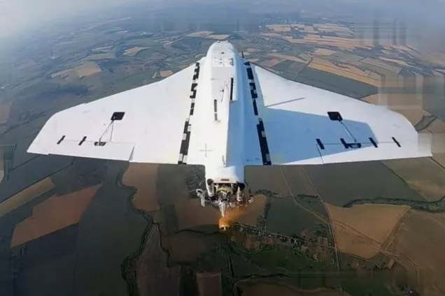 Иллюстративное фото. Дрон Гербера