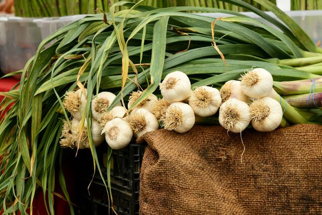 Что нельзя сажать после чеснока: об урожае можете забыть