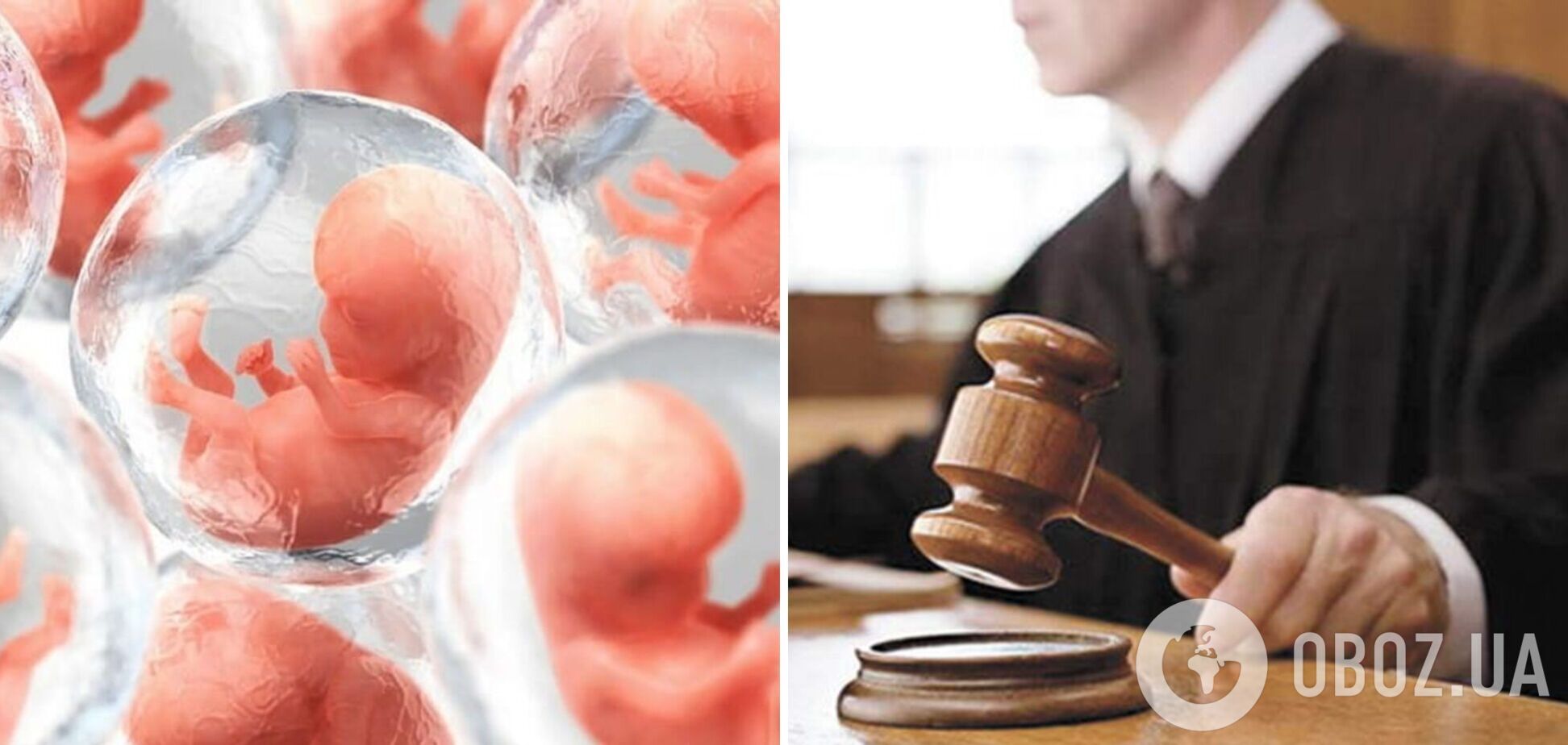 Поділив порівну: суд Дніпра забрав у матері половину заарештованих ембріонів і віддав батькам померлого чоловіка