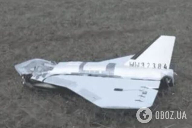 В Польше в лесу нашли еще один разбитый российский дрон: что известно