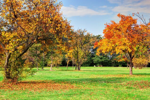 Яке свято відзначають 24 вересня: церковний календар