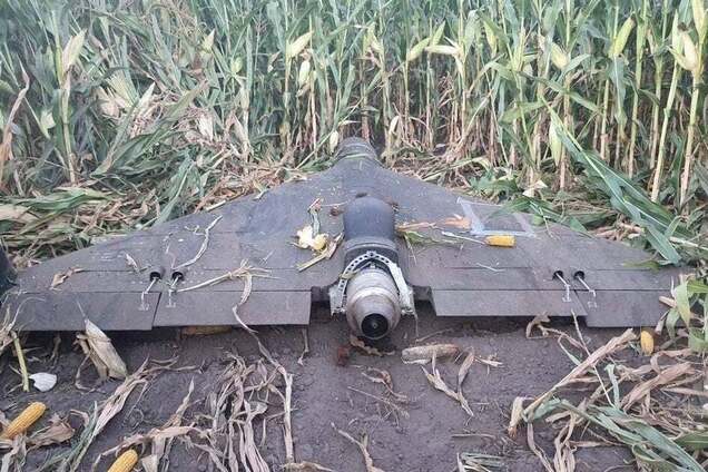 Китайский двигатель разгоняет до 370 км/ч: появились первые фото реактивного 'Шахеда', приземленного средствами РЭБ