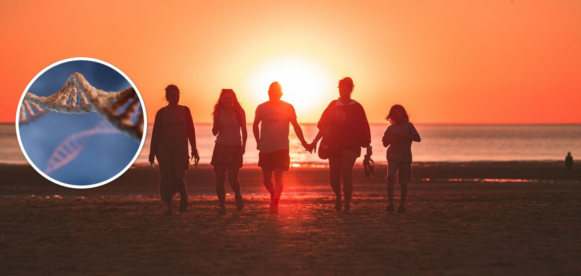 Как мы наследуем черты предков: ученые раскрыли интересные факты