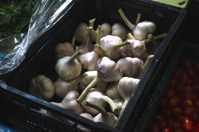 Где хранить чеснок, чтобы он не портился до нового урожая: 3 лучших места