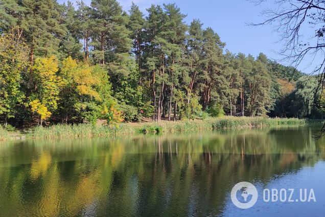 Небольшая облачность и до +27°С: прогноз погоды по Киевщине на 21 сентября