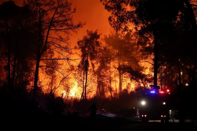 пожежа, лісова пожежа, туреччина, новини туреччини, ліс горить,