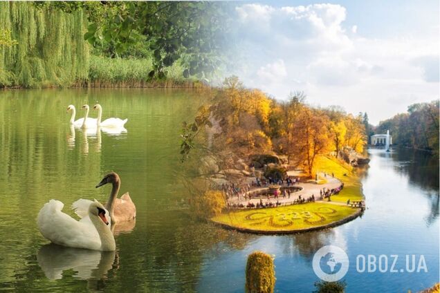 Где погулять на выходных