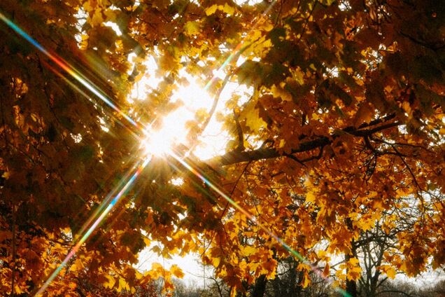 Чем отличаются равноденствие и солнцестояние: когда происходят