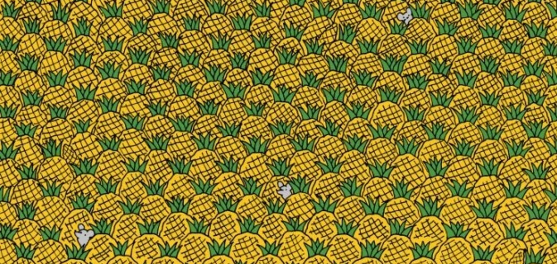 Найдите всю кукурузу: головоломка для самых наблюдательных