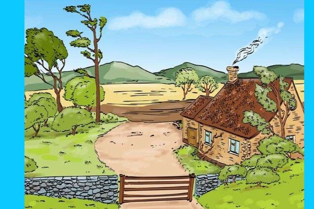 Знайдіть помилки: головоломка на кмітливість