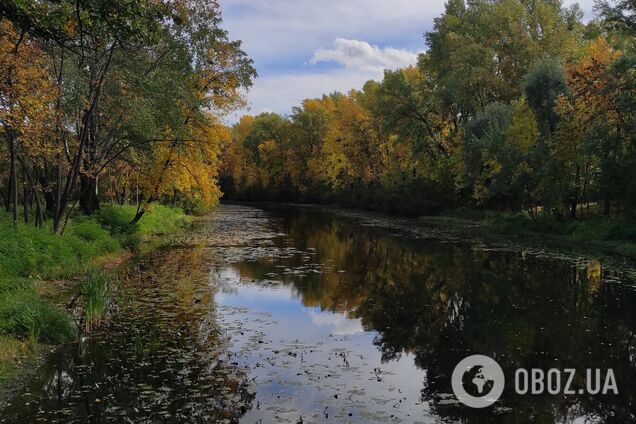 Без осадков и до +16°С: подробный прогноз погоды по Киевщине на 25 сентября